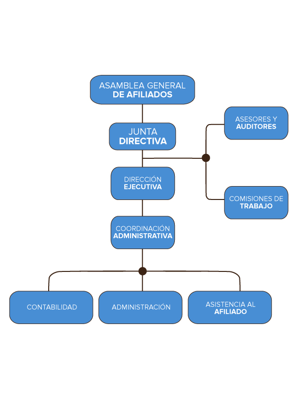 organigrama